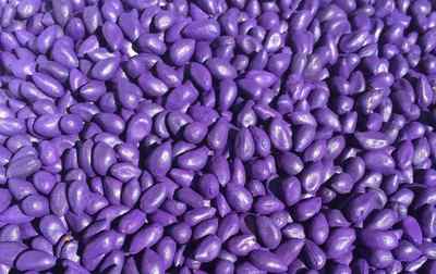 我國種衣劑市場產(chǎn)品布局及未來重點關(guān)注的化合物