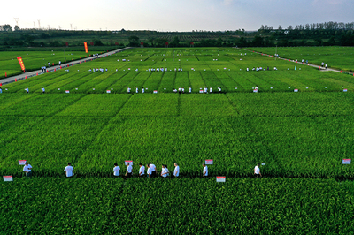 強(qiáng)信心&middot;走進(jìn)百企|用技術(shù)創(chuàng)新守牢種業(yè)&ldquo;中國(guó)芯&rdquo;