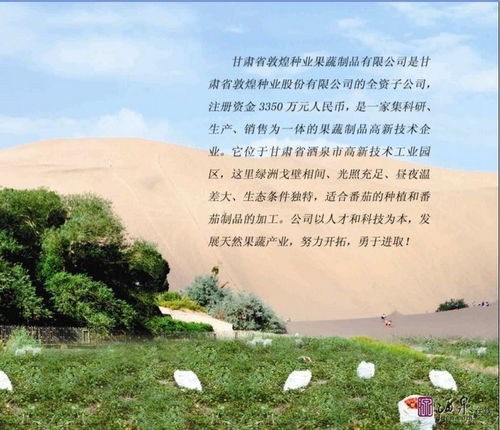 甘肅省敦煌種業果蔬制品新品上市啦