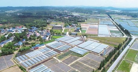 長沙縣啟動第一批種業(yè)小鎮(zhèn)建設 助力現(xiàn)代農(nóng)業(yè)發(fā)展