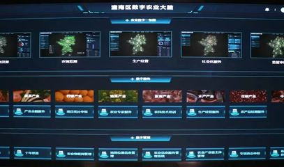 潼南種業振興行動 打造現代農業“芯”動力