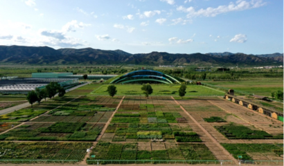 蒙草生態(tài)上市十周年 以種業(yè)為本，科研當(dāng)先，深耕生態(tài)修復(fù)的“中國(guó)草”